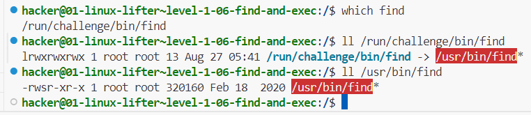 -rwsr-xr-x 1 root root 320160 Feb 18 2020 /usr/bin/find*